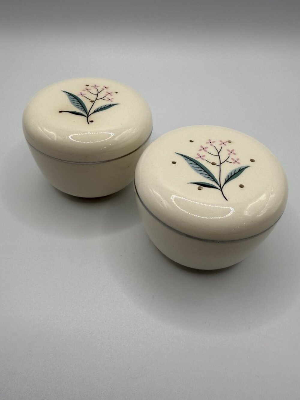 Vintage 1950's 'Regal' Botanical Salt & Pepper Set by Alliance China